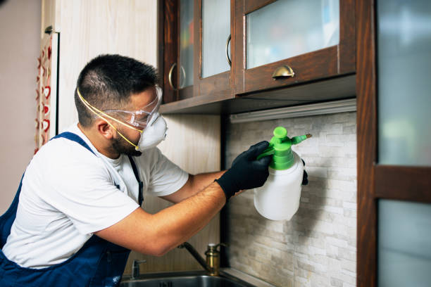 Best Commercial Pest Control Services  in Wamac, IN