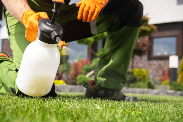 Best Pest Removal Services  in Wamac, IN