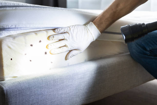 Best Residential Pest Control  in Wamac, IN