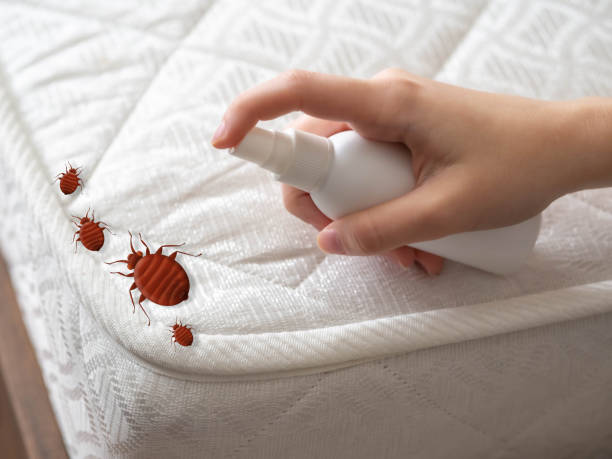 Best Affordable Exterminators  in Wamac, IN