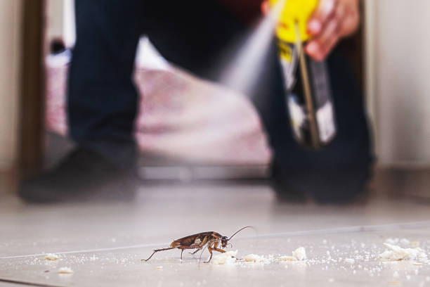 Pest Control for Restaurants in Winamac, IN