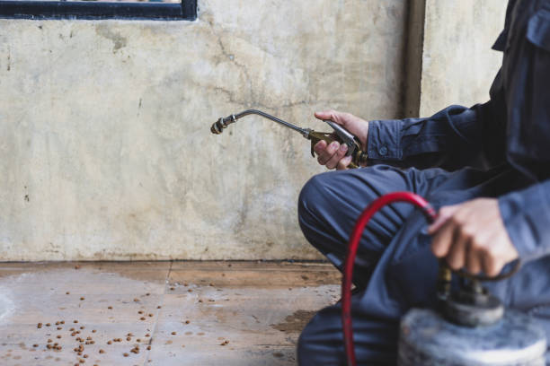 Best Best Pest Control Companies  in Wamac, IN